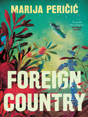 cover image of Foreign Country